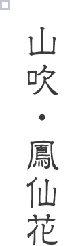 山吹・鳳仙花
